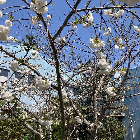 Narita Airport Samurai Hostel Kujukuri Ngoại thất bức ảnh